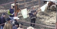 Capacitación sobre Bienestar Animal y Reglamento dejó buenos comentarios: Se dio un paso importante