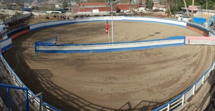 Medialuna de Ovalle acogió rodeo Provincial del Club Camarico que tuvo triunfo de Pino y Guajardo