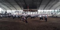 Rodeo de los Jurados se realizará este viernes en el Templo del Huaso
