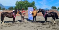 Criadores de Los Ríos tendrán asamblea de socios y charla en Paillaco