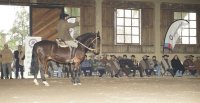 Gran Clínica de Rienda Sin Fronteras engalanó la jornada sabatina en Claro de Luna