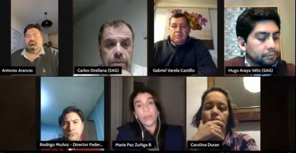 Raza Chilena: Abordamos consultas sobre la Anemia Infecciosa Equina junto a la Achve y el SAG
