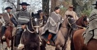 La cabalgata de la Asociación de Criadores de Ñuble paso a paso