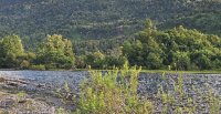 Criaderos Río Claro, San Juan de Jahuel, Rinconada y El Convento tienen interesante remate