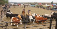 Limarí vibró con su segunda fecha de Pruebas Funcionales