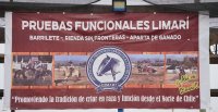 Rienda, Aparta y Barrilete deleitaron al público en la Medialuna de Los Aromos