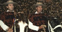 Santa Isabel Talento es el Mejor Potro del primer cuarto del Siglo XXI en el Rodeo Chileno