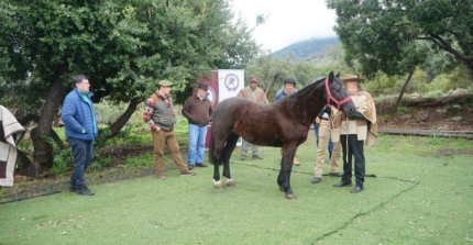 Jurados valoraron capacitación en Parque Mahuida: "Sirve para unificar criterios"