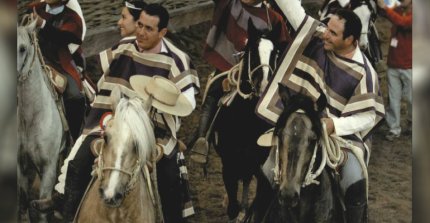 Peleco Compadre se consagró como el Mejor Caballo del Siglo XXI en el Rodeo Chileno