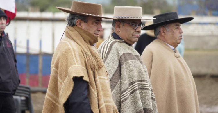 Criadero El Quillay del Norte recibió Día de Campo de los Criadores de Petorca