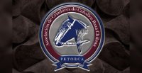 Criadores de Petorca desarrollan remate de montas con oportunidades imperdibles