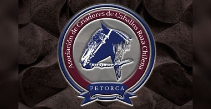 Este lunes cierra Remate de Montas de los Criadores de Petorca