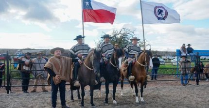 Criadores de Limarí desarrollaron exitosa fecha de Pruebas Funcionales en Medialuna Los Aromos de Campo Lindo