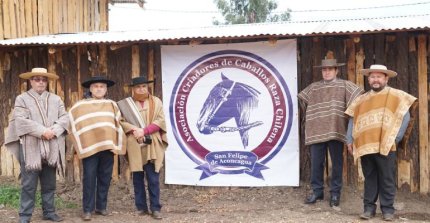 Asociación de Criadores San Felipe de Aconcagua tuvo inicio formal de sus actividades
