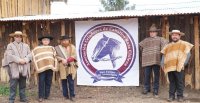 Asociación de Criadores San Felipe de Aconcagua tuvo inicio formal de sus actividades