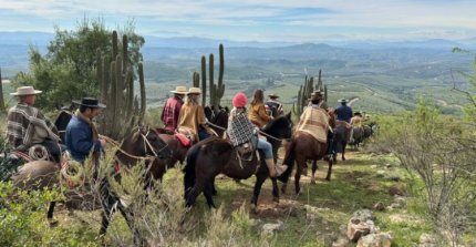 Diez años de historia de la Cabalgata de los Criadores de Casablanca y Melipilla