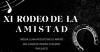 Rodeo de la Amistad de la Corporación "Miguel Ángel Galilea" tuvo exitosa XI versión
