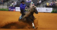 Roberto Jou presentará proyecto para llevar el Caballo Chileno a la élite de la Rienda internacional