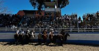 Ocho colegios disfrutaron una variada muestra de "El Caballo en la Escuela" en Ovalle