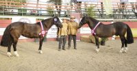 Favorita y Normando, tricampeones de la Expo Semana de la Chilenidad
