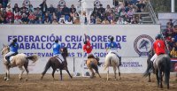 El Horseball tuvo su estreno en el Parque Padre Hurtado
