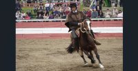[Streaming] La fecha de Pruebas Funcionales en la XXVIII Semana de la Chilenidad