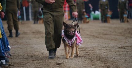 Carabineros de Chile brilló con sus presentaciones en la Explanada