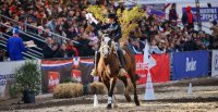 Escuadra Ecuestre de Chile tuvo un destacado paso por la Semana de la Chilenidad