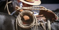 Acceso al WhatsApp de prensa de la Federación del Rodeo Chileno