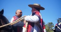 El Carmen de Nilahue triunfó en la Serie Caballos en Batuco