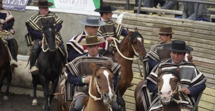 Las colleras premiadas para la Final del Zonal Centro 2025