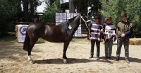 Los premiados por categoría de la Expo Ñuble 2025