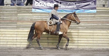 El desempeño de Estrada, Guevara y Navarro en la Rienda del Zonal Centro