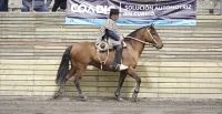 El desempeño de Estrada, Guevara y Navarro en la Rienda del Zonal Centro