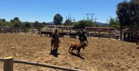 Criadores de Cardenal Caro inauguraron corral de aparta en la ExpoGama