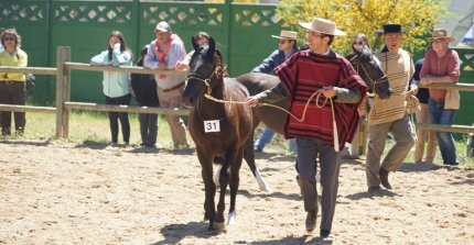 Expogama tuvo un gran atractivo con la Exposición de la Asociación Cardenal Caro
