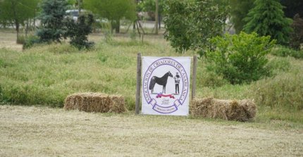 [STREAMING] Sigue la Expo Casablanca 2025 en Servicios Para Rodeo