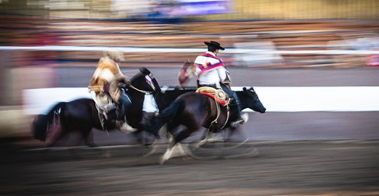 Ferochi y presidentes de zonas evaluaron el carnet digital y plataformas web