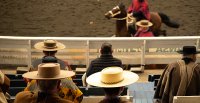 Rodeo Zonal Sur de Río Rahue: Inscripciones serán online