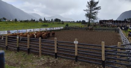 En Puerto Aysén fue inaugurado un corral de aparta