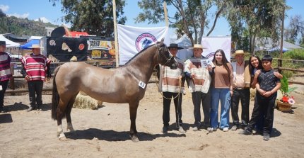 Los premiados por categoría de la Expo Putaendo 2025