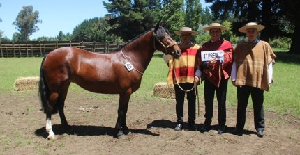 Los premiados por categoría de la Expo Cabrero 2025