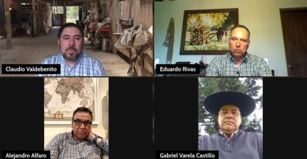 Raza Chilena: Comenzamos a vivir las Expos SOFO, Malleco y Linares