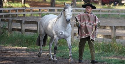 [STREAMING] Sigue en vivo las Expo Longaví y Collipulli