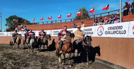 Sigue la planilla de la Serie de Campeones del Zonal Sur