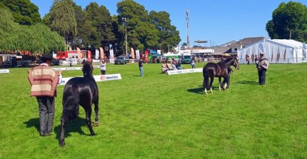 [STREAMING] Sigue en vivo las Expo SAGO Fisur y Expo Bío Bío