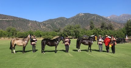 Criadores de Cordillera invitan a su exposición: inscripciones están abiertas