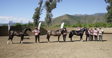 Los Grandes Premios de la Expo Quillota 2025