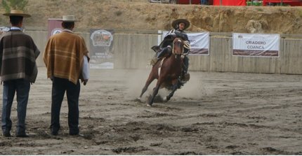 Pruebas Funcionales redondearon un gran evento para los Criadores de Itata