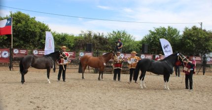 Los Grandes Premios de la Expo Limarí 2025